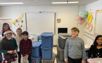 Building Cat Shelters